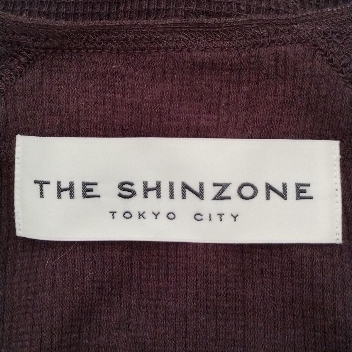 Shinzone