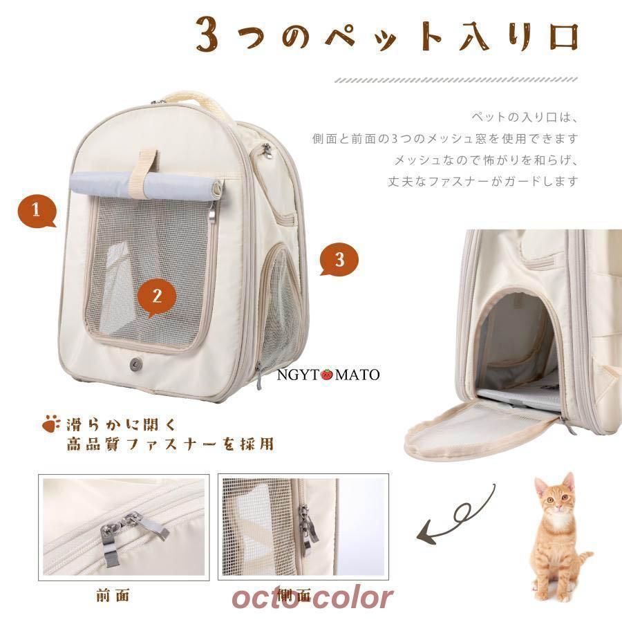 お出かけ 通院