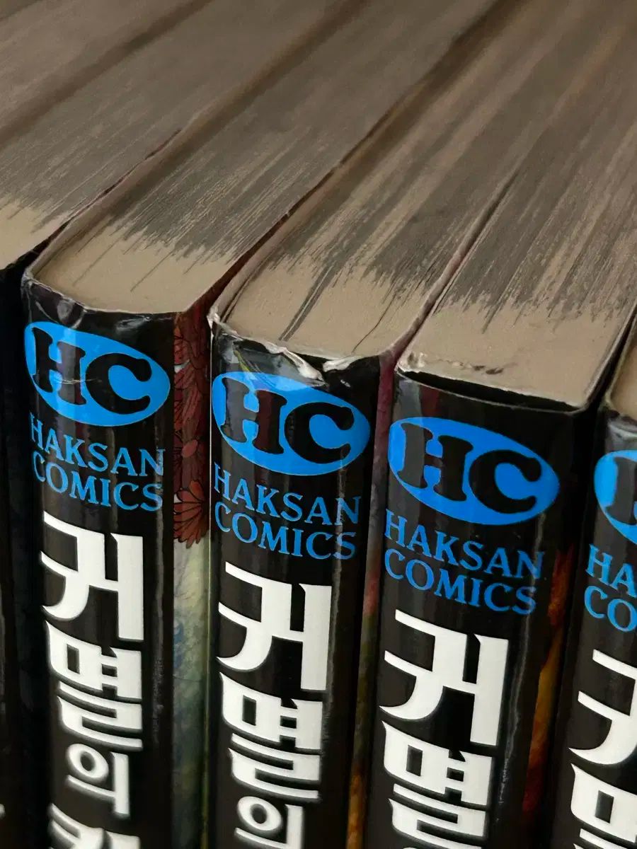 鬼滅の 刃