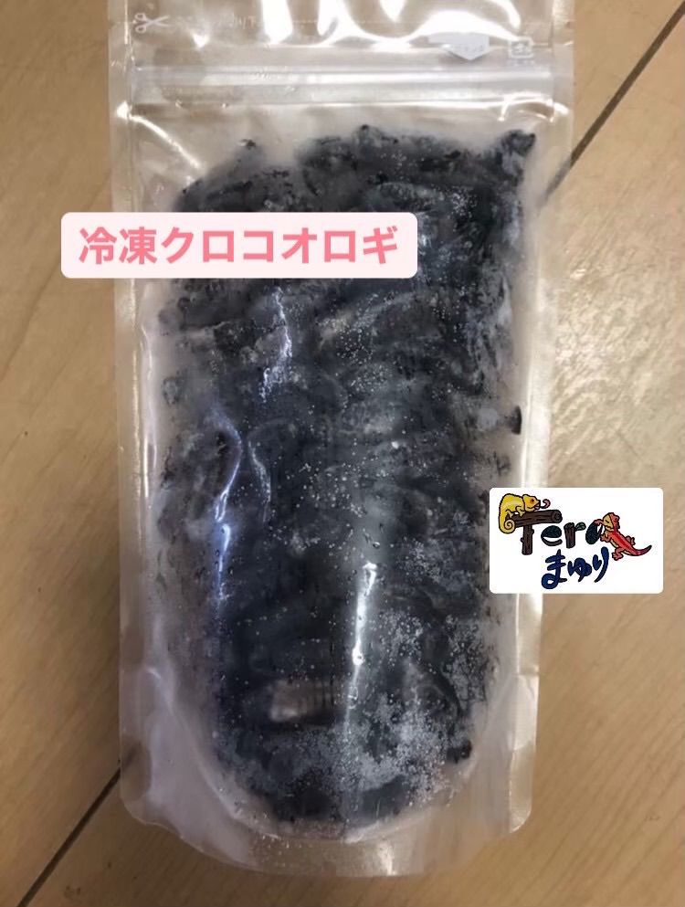 爬虫類・両生類用品 送料無料 冷凍クロコオロギ メガサイズ1kg（1100