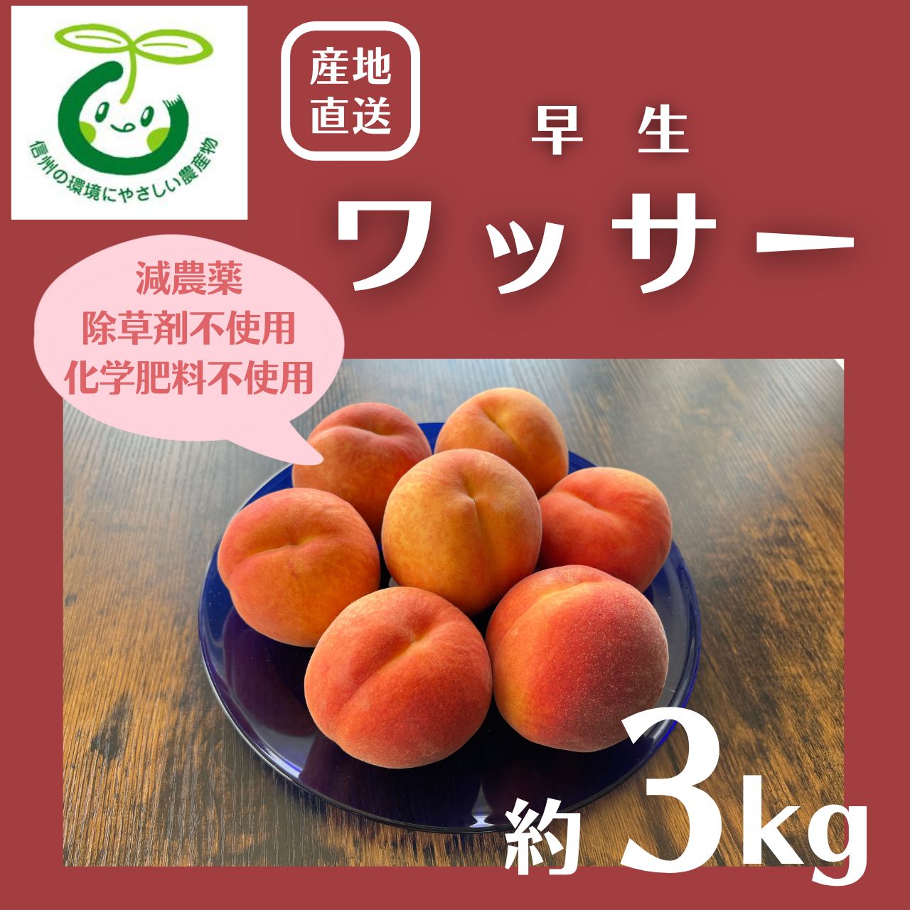 ⑤早生ワッサー家庭用10キロ ④早生ワッサー訳あり10キロ 早生ワッサー