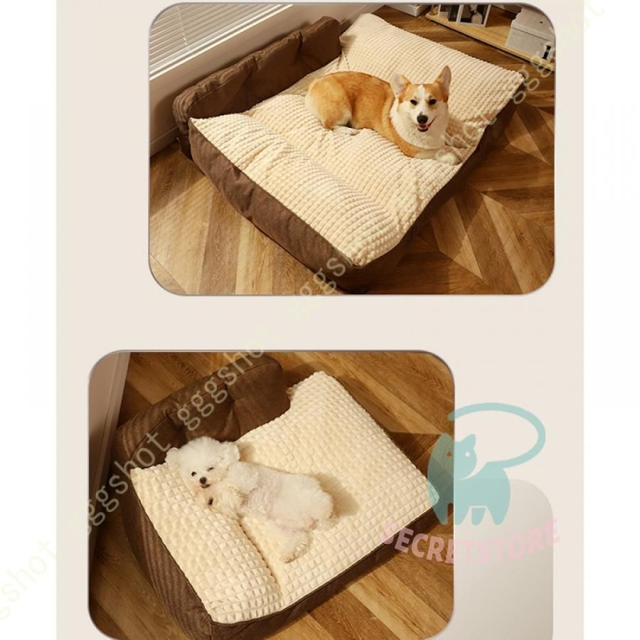 大型犬 中型犬