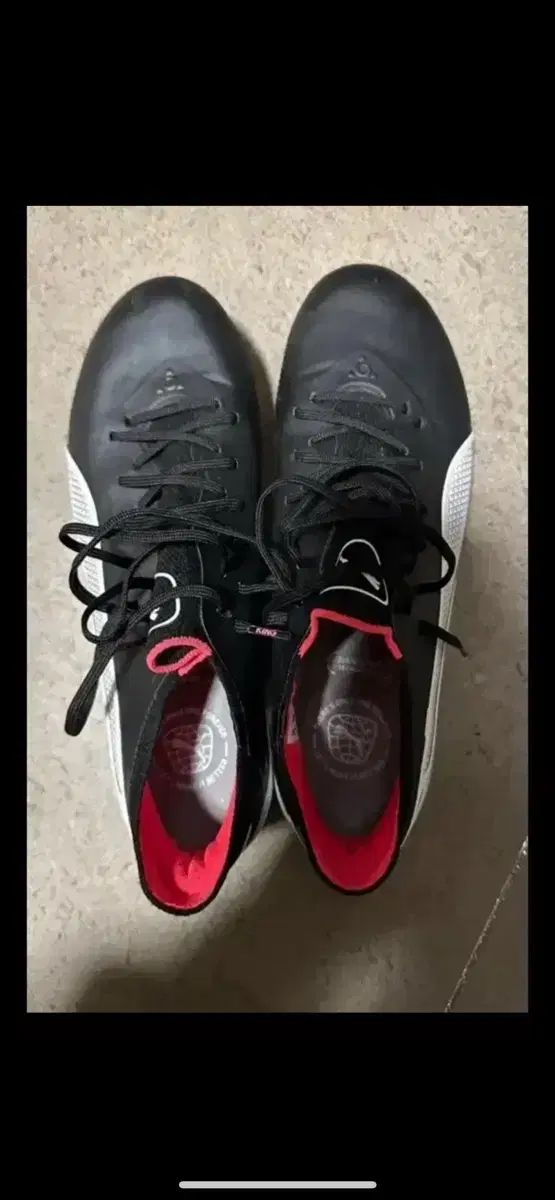 ○【】キム・ギドク監督作 初期（7巻セット）悪い男、鰐、悪い女、魚