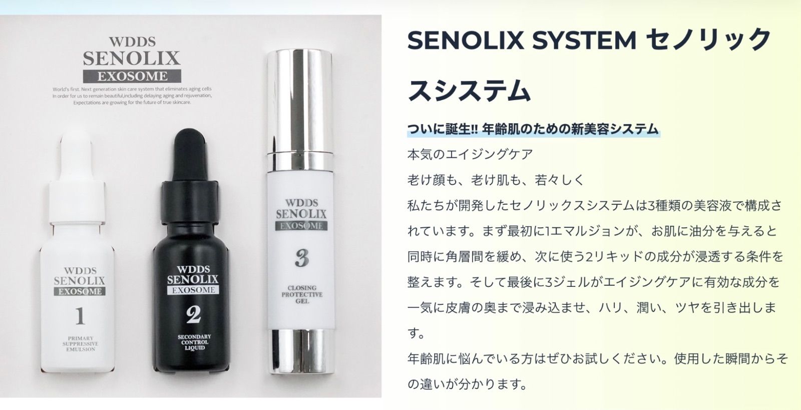 エクソソーム【新品未使用】セノリックス3点セット セノリティクス wdds 次世代美容液