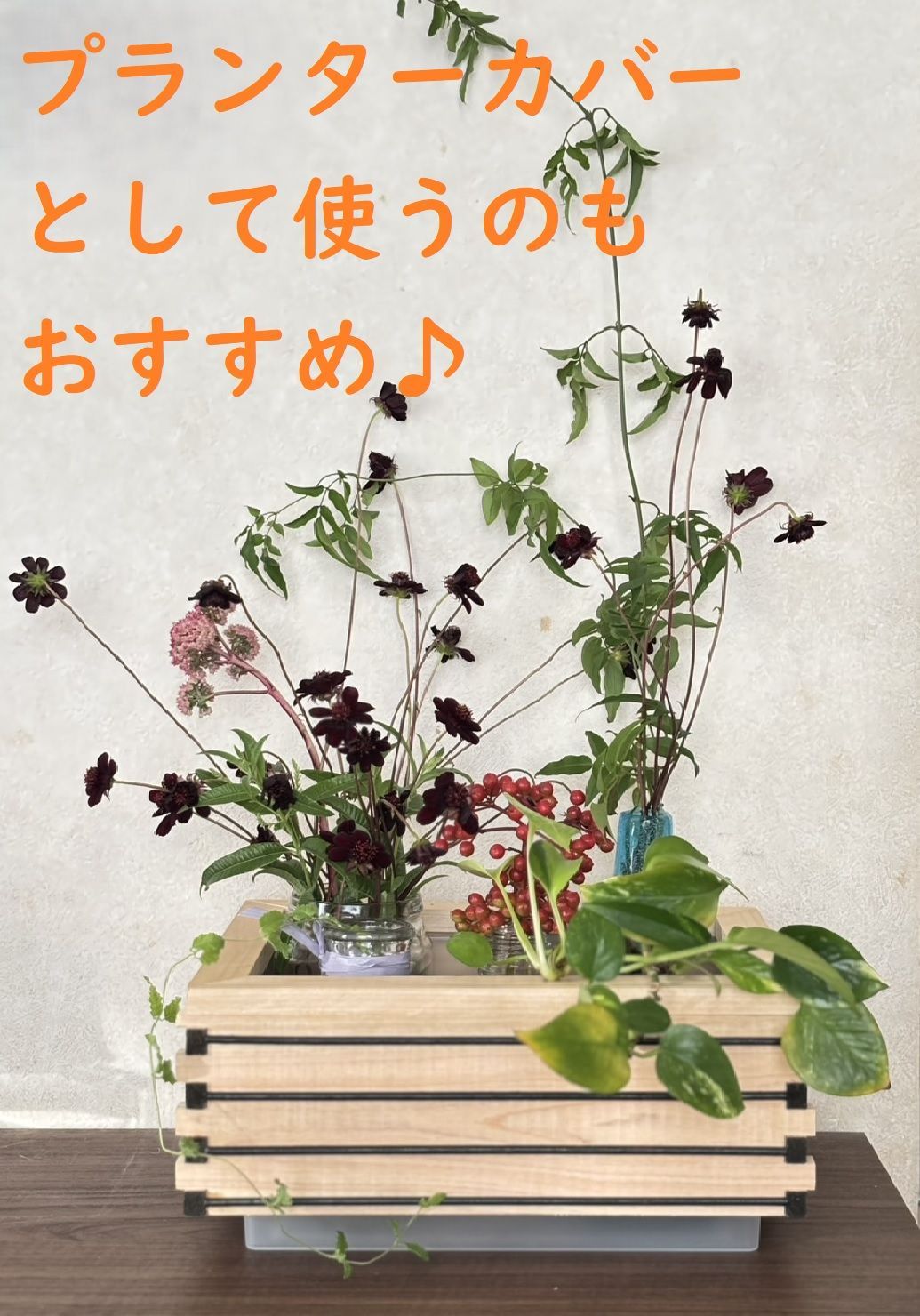 ひのき&桐】ビオトープ 木枠・蓋・水槽セット メダカ プランターカバー