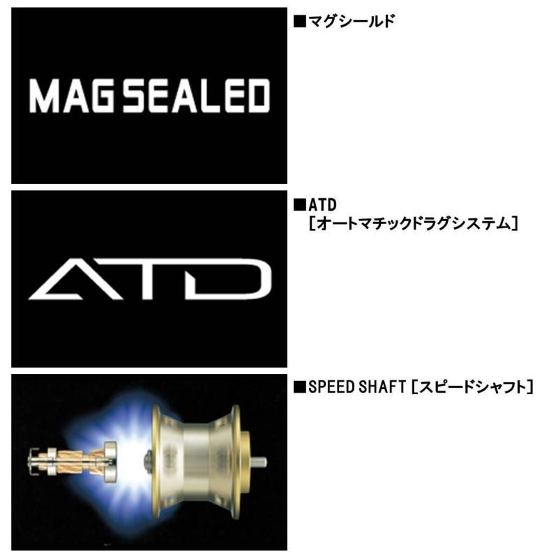 ライト