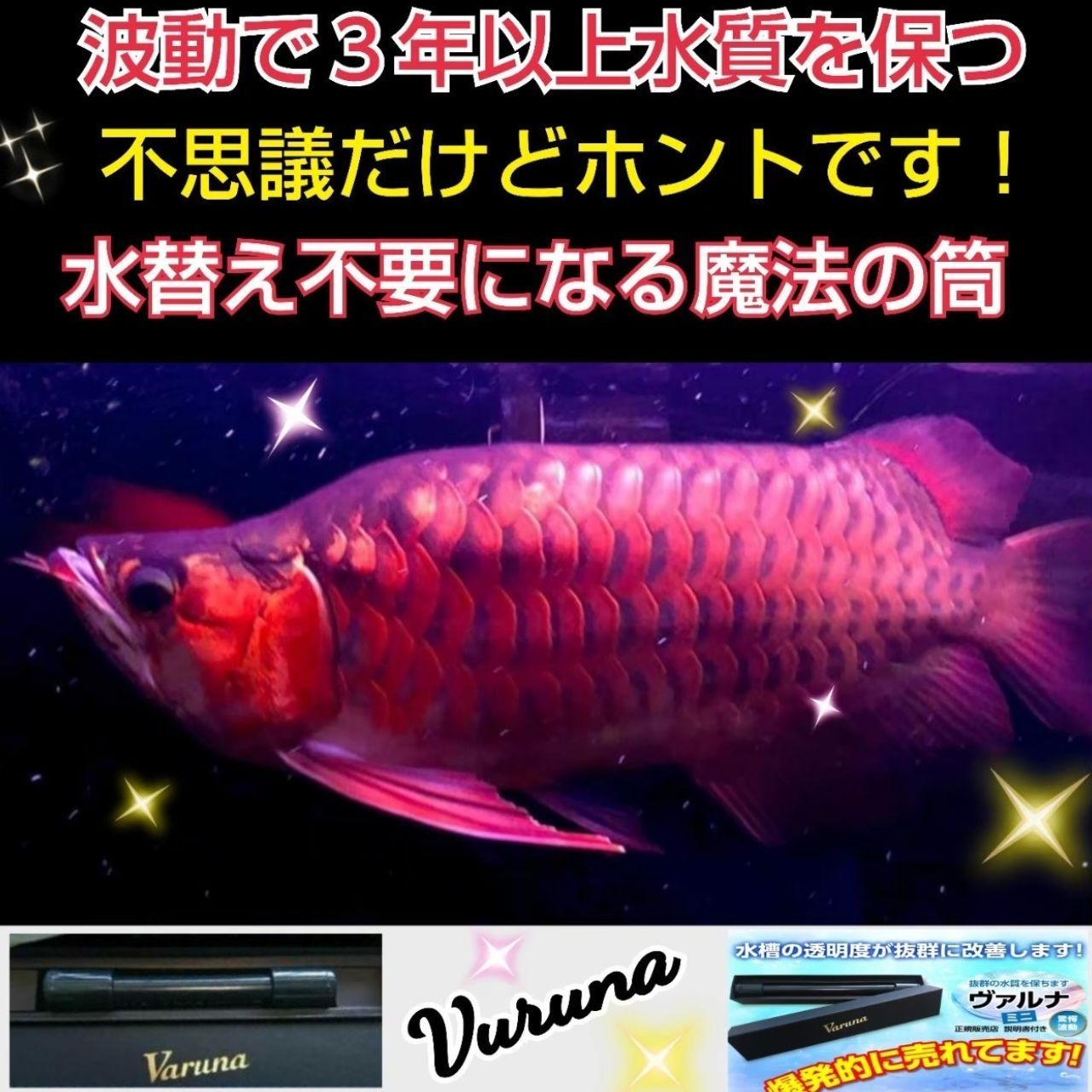 水槽の水が綺麗になります【ヴァルナミニ23㎝】水替え不要で透明度を抜群に保ちます！有害物質や病原菌も強力抑制！魚が元気に長生きします - メルカリ