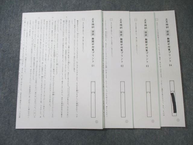 SAPIX サピックス 正月特訓 難関中対策プリント 国語 【計4回分