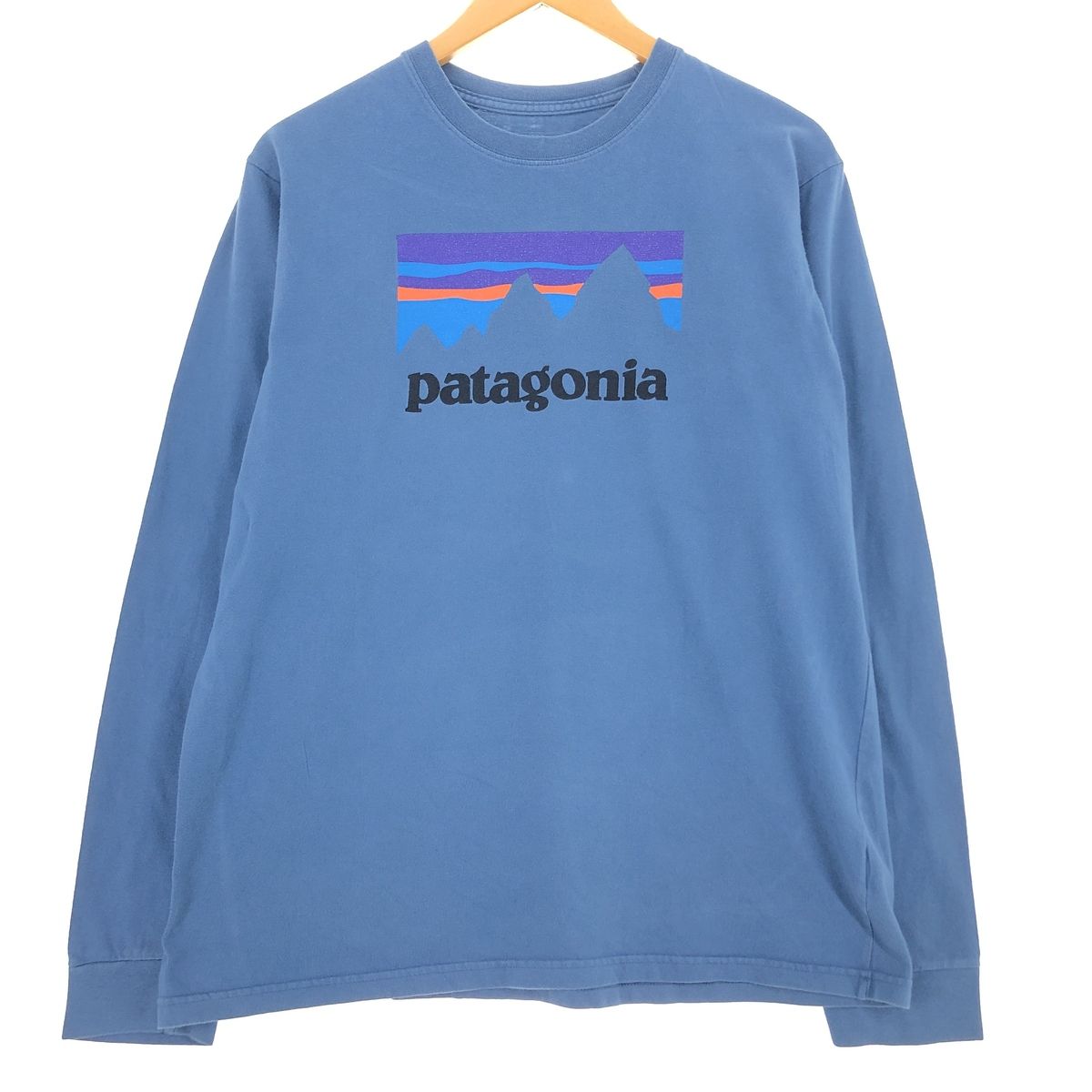 古着 パタゴニア Patagonia 39040SP17 ロングTシャツ ロンT メンズM相当/eaa430399
