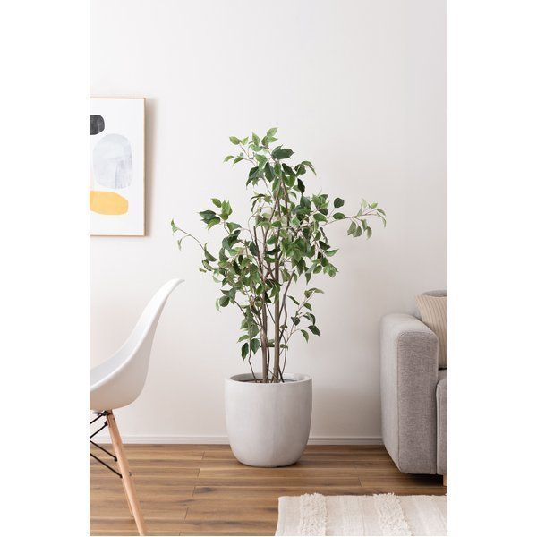 植木鉢