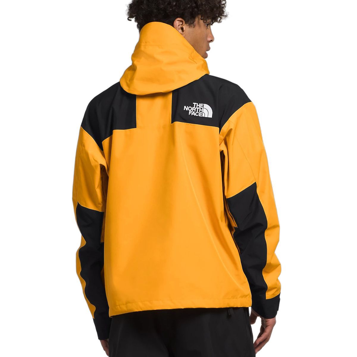 THE NORTH FACE ザ ノースフェイス GTX MOUNTAIN JACKET マウンテン 