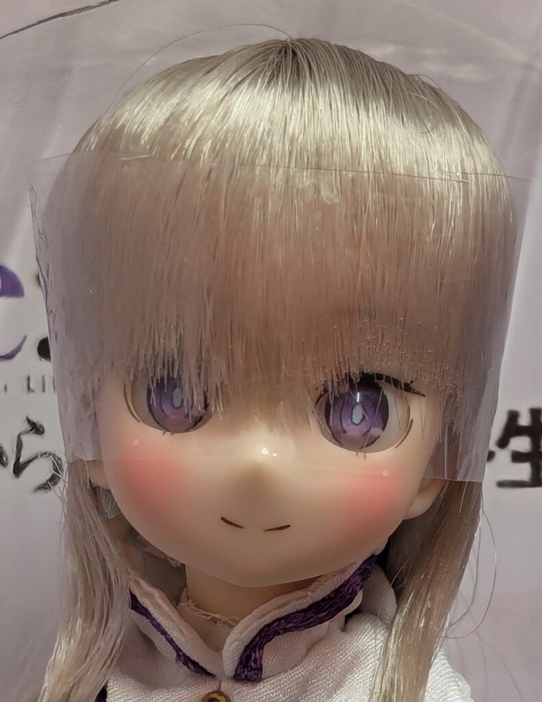 アゾン ピュアニーモキャラクターシリーズNo.143 『Re:ゼロから始める