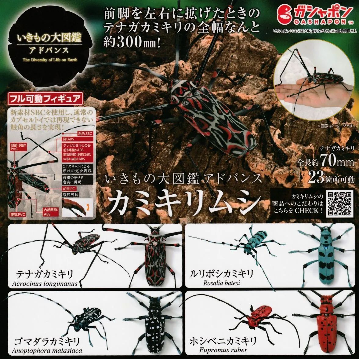 いきもの大図鑑アドバンス カミキリムシ｜ガシャポン
