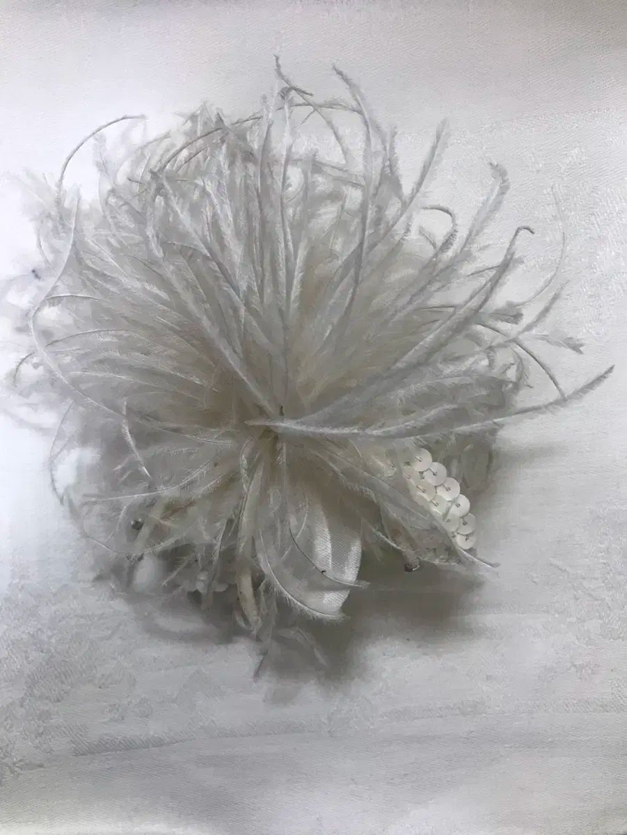 【鑑定済】ダイアナ妃　チャールズ皇太子　デザイン　結婚記念5シリング硬貨 鑑定済】ダイアナ妃チャールズ皇太子デザイン結婚記念5シリング硬貨