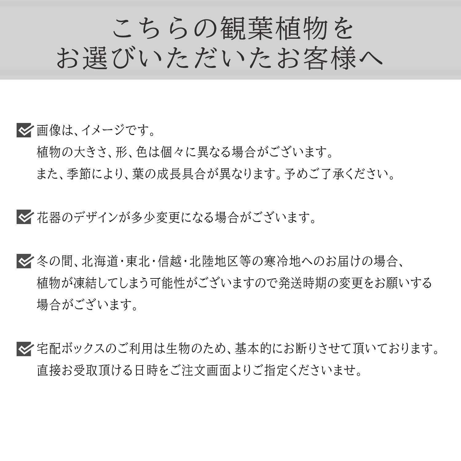 白 父の日