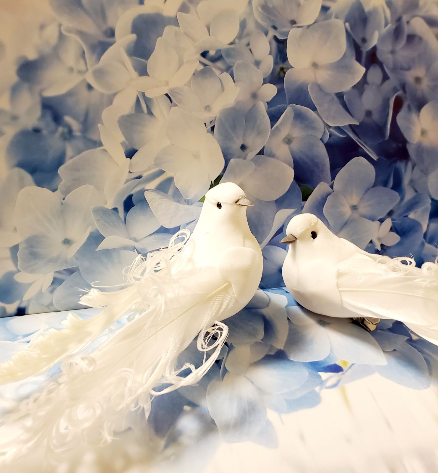 鳥の置物 白い小鳥 くるふわ ２羽 14cm - 華子の庭 - メルカリ