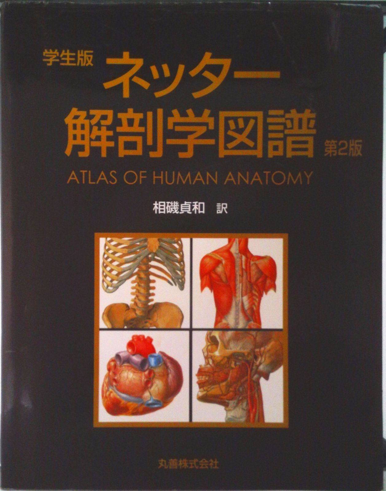 ネッタ-医学図譜 学生版 脳・神経系　２ /丸善出版/フランク・Ｈ．ネッタ-（大型本） ネッタ-医学図譜 学生版 脳・神経系 2 /丸善出版/フランク・H