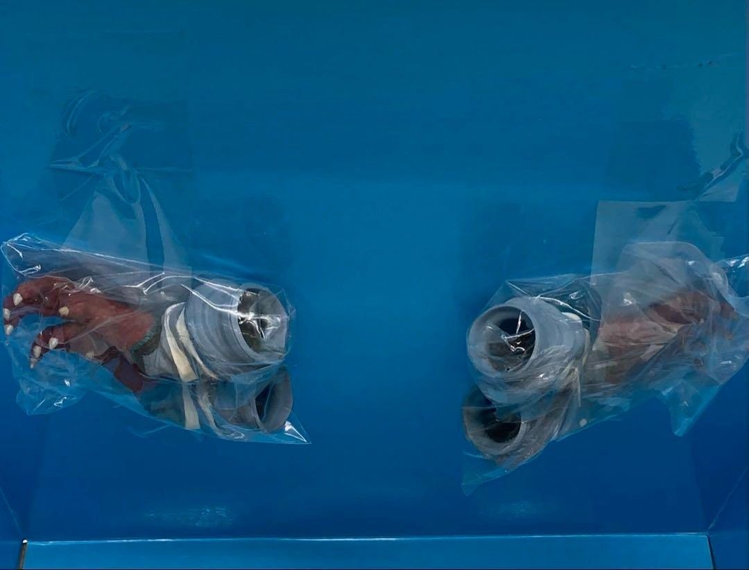 大怪獣シリーズ ガッツ星人 分身セット 少年リック限定 再販