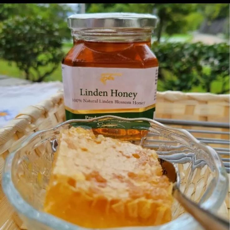リンデン450g 2個セット リンデン450g 2個セット （HTQ Linden Honey 450g）