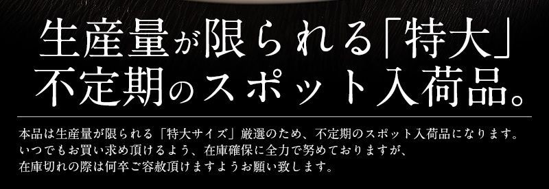 特大訳ありホタテ！ ホタテ ほたて 貝柱 特大 1kg 訳あり