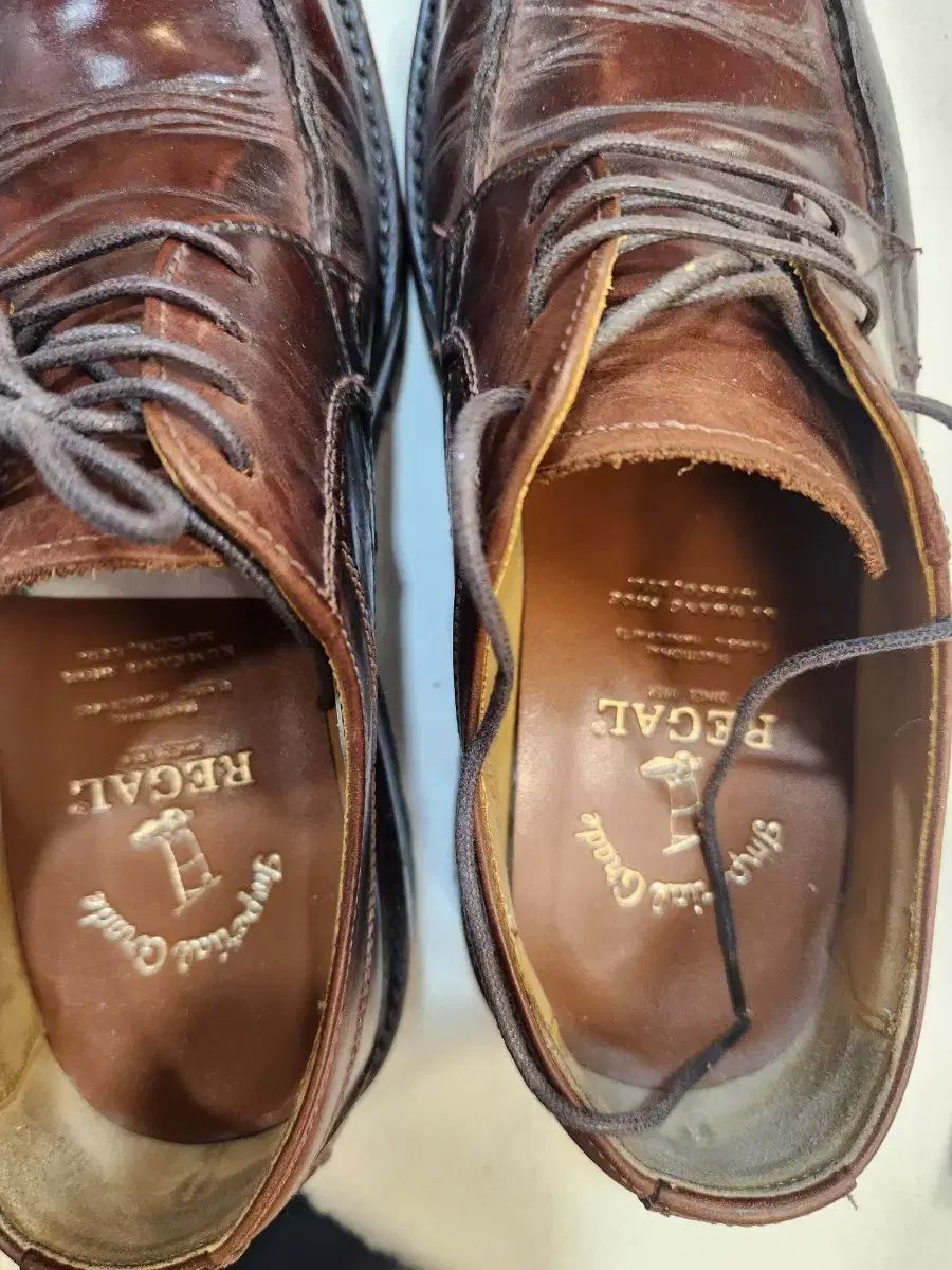 パラブーツ アヴィニョン