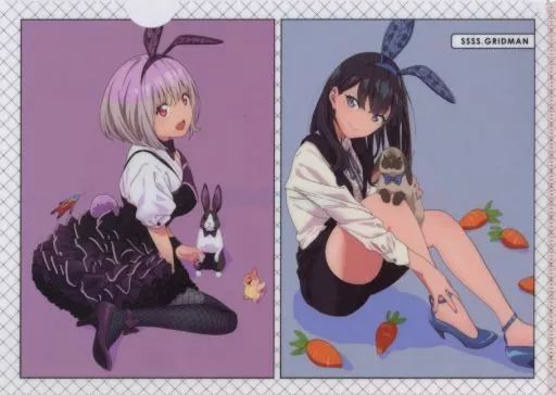 限定 レア 希少 グリッドマン クリアファイル 宝多六花 新条アカネ 一番くじ SSSS.GRIDMAN グリッドマン D賞 クリアファイル 内海