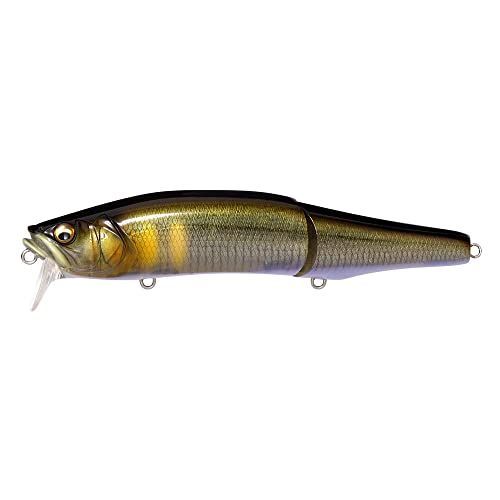 Color FA 瀬アユ_Size 147mm メガバス GORHAM ゴーラム 147F SW FA 瀬アユ