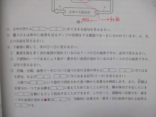 UJ84-021 日能研 中学受験用 2022年度版 日特 国語/算数/理科/社会 テキスト 計4冊 00L2D - メルカリ