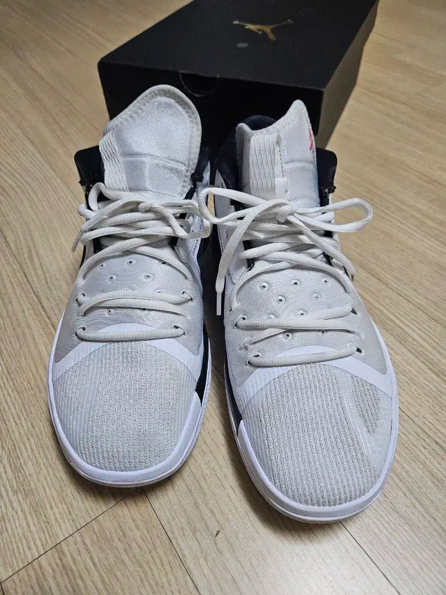  ジョーダン ズーム セパレート PF バスケシューズ 290 シューズ(男性用) バスケットボール