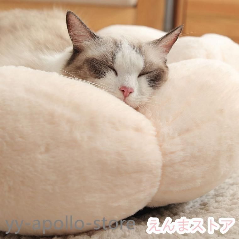 小型犬