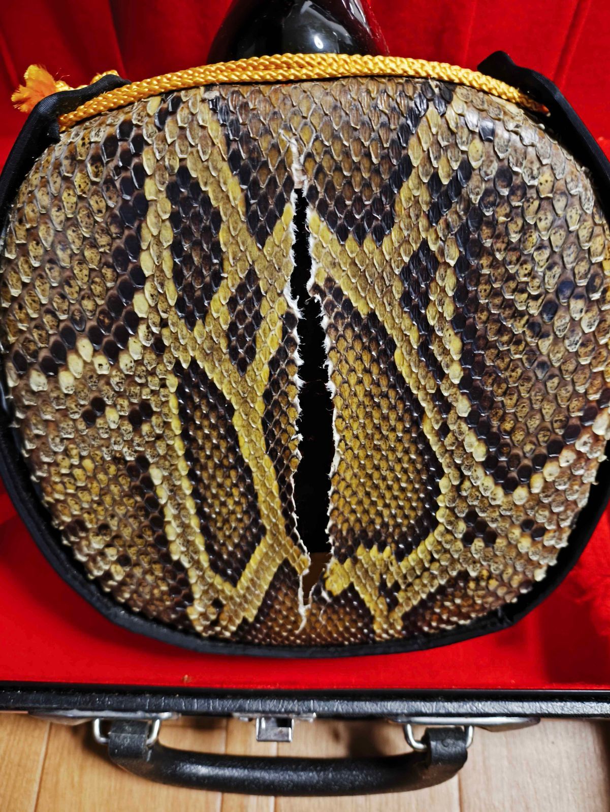 本革 ハードケース付