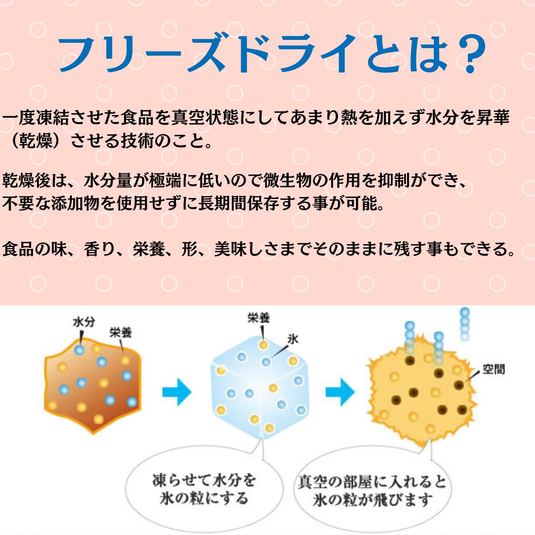 5袋セット