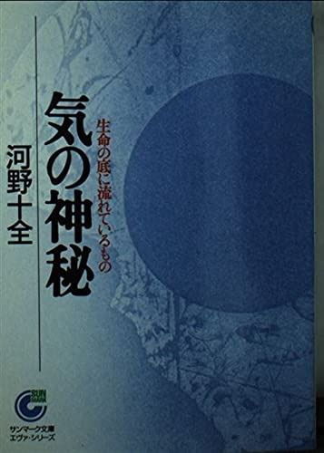 気の神秘 生命の底に流れているもの サンマーク文庫 E- 10 エヴァ シリーズ