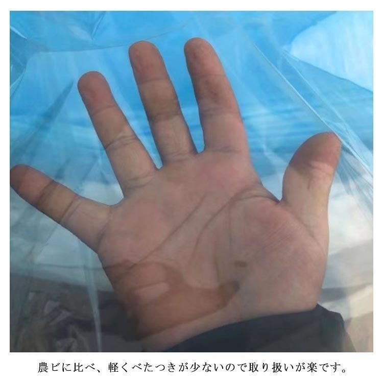 家