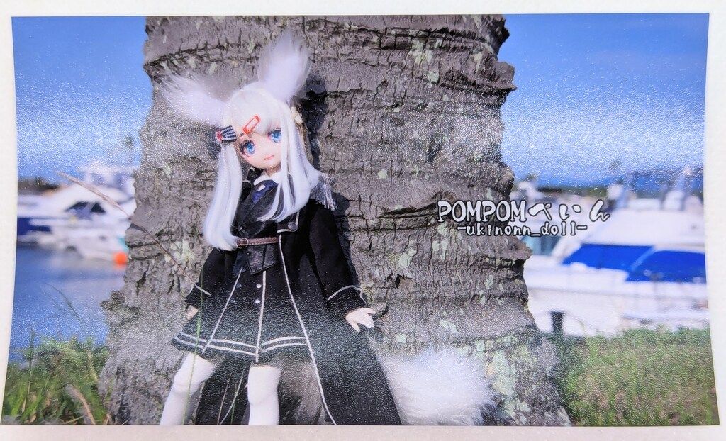 POMPOMペイン DDH-22