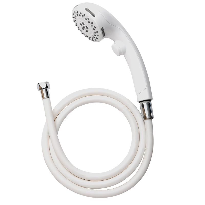 掛軸 大徳寺435世 大綱禅師筆 前大徳光佑箱書 大綱宗彦 ／ 茶道 利休