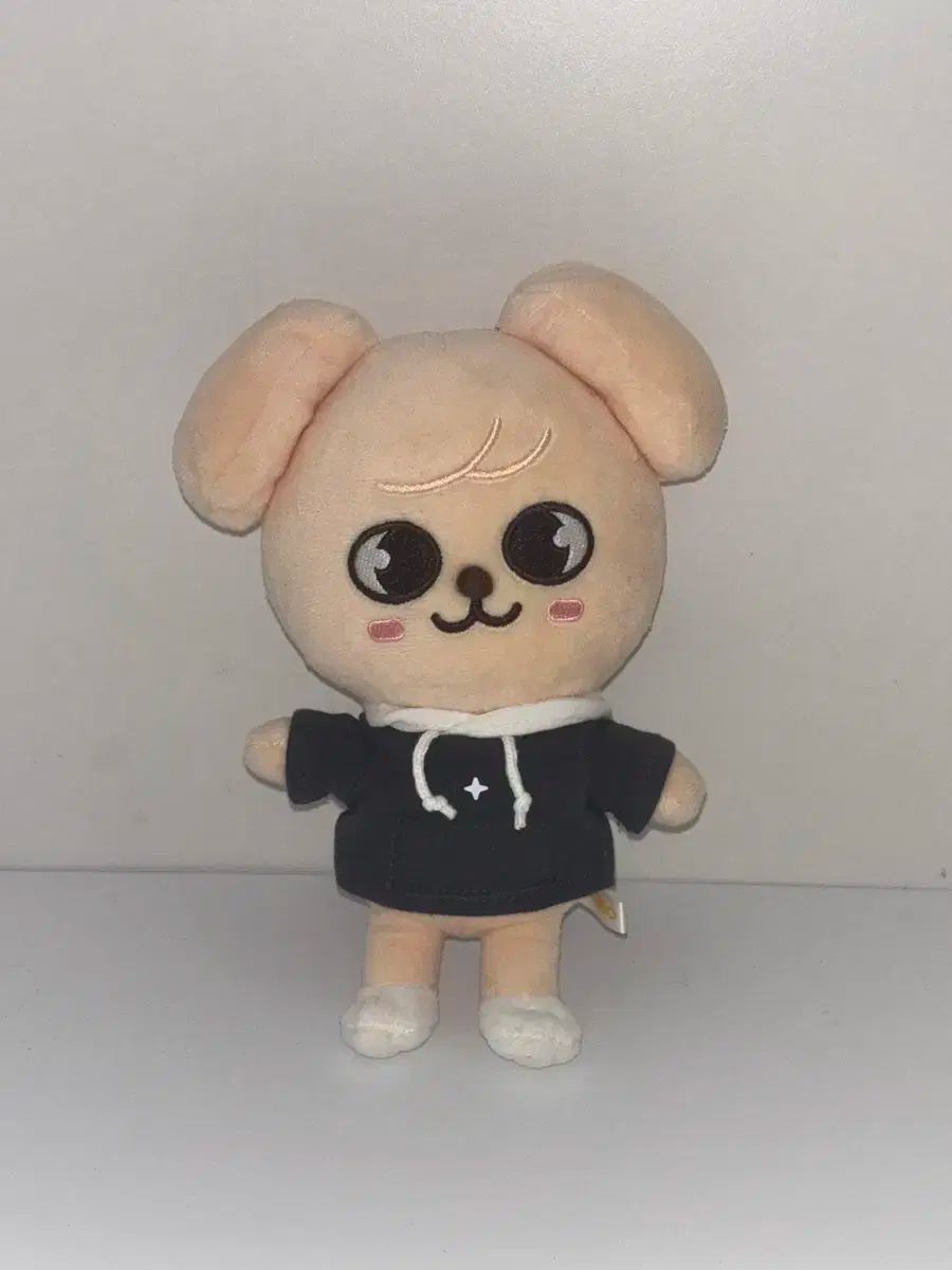 パピーム puppym まとめ売り Stray Kids(ストレイキッズ・スキズ・SKZ) PuppyM パピーム 人形