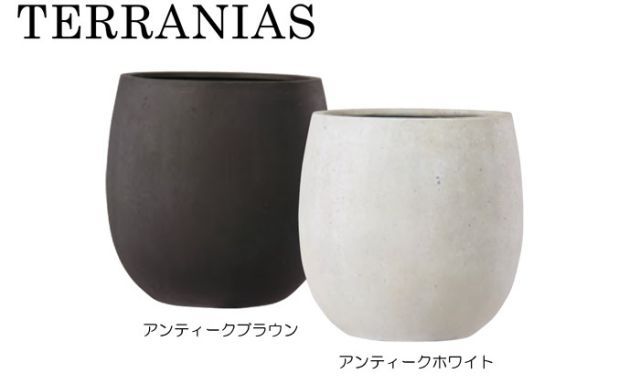鉢