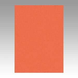 (まとめ) 色画用紙 文運堂 ニューカラーR 橙 4NCR-213 4954022642136 1冊【×5セット】