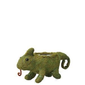 3営業日で発送 ケー イー アイ ひだまりアニマルポット カメレオン 5391 入数 5