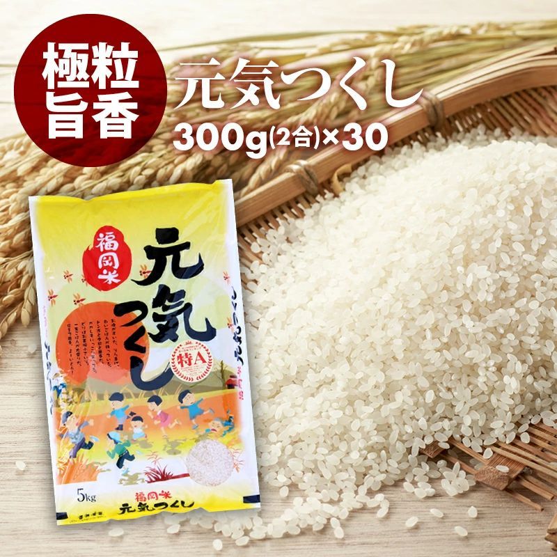 無洗米 プロが選ぶ 一等米 米 食味ランク 特A 元気つくし  2合 (300g) 30パック 精米 福岡県産