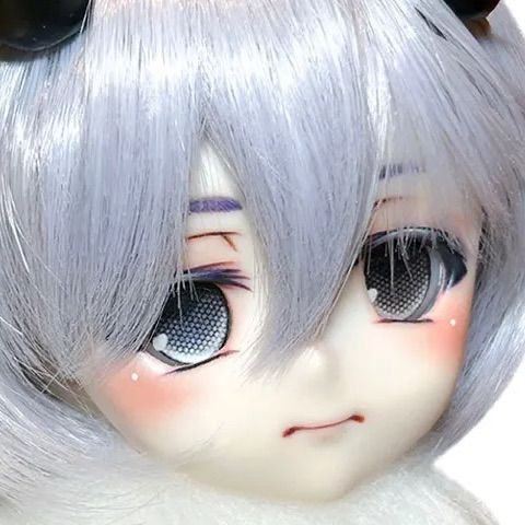 DDH22 セミホワイト 芳しく SW カスタム ヘッド＋アイ ※難有 売買されたオークション情報 落札价格 【au  payマーケット】の商品情報をアーカイブ公開