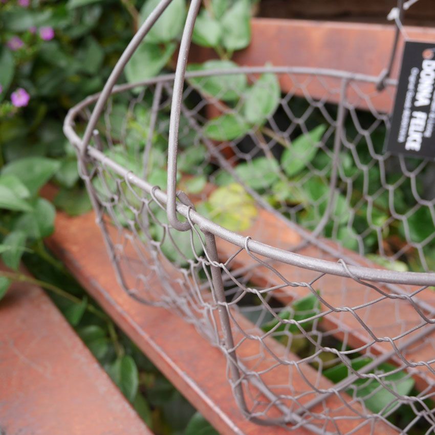 ワイヤーバスケット Lサイズ ガーデン ガーデニング 園芸 植物