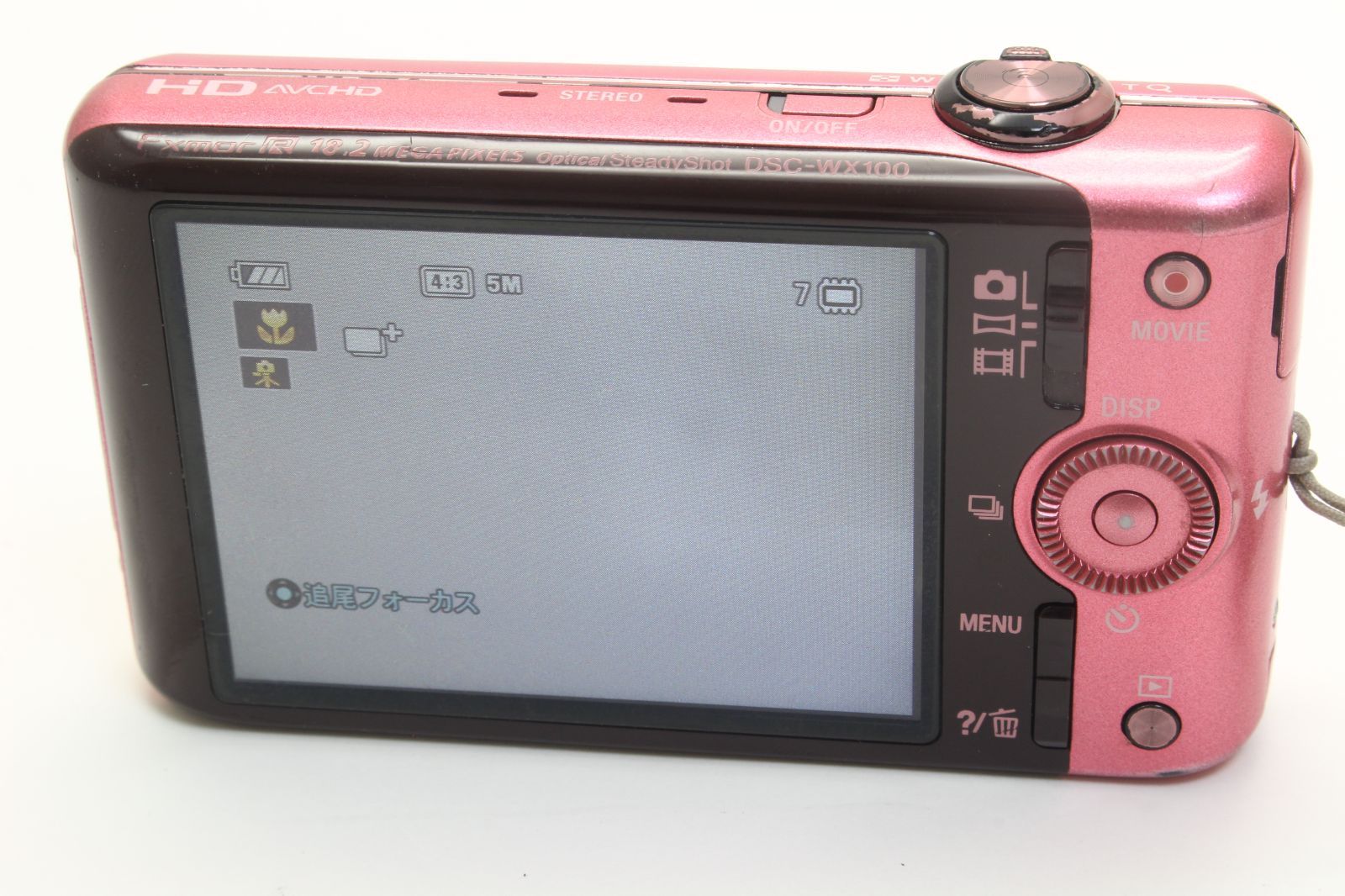 DSC-WX100