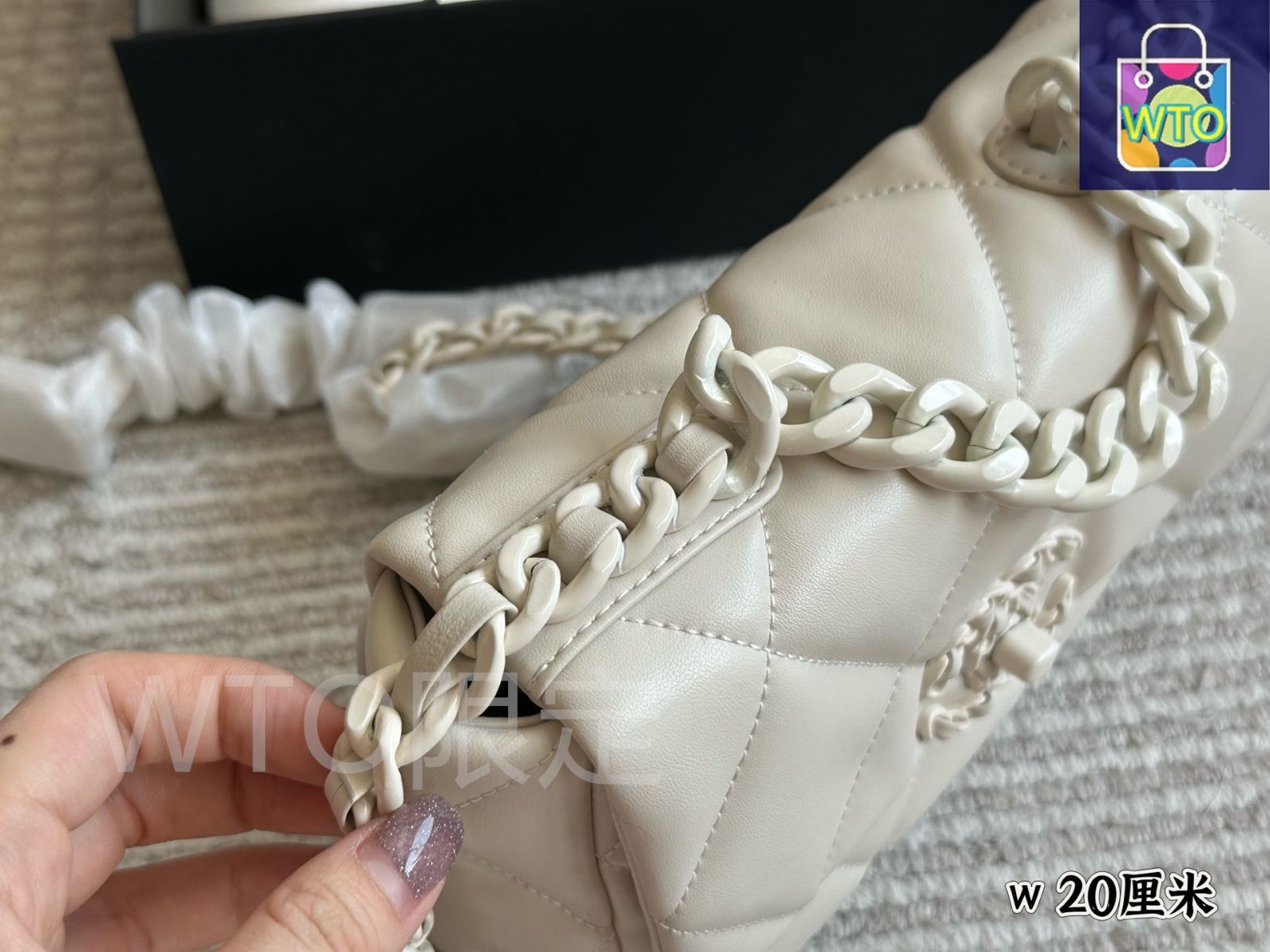 今日特価】Chanel 19 Bag × 今日特価 Special Offer