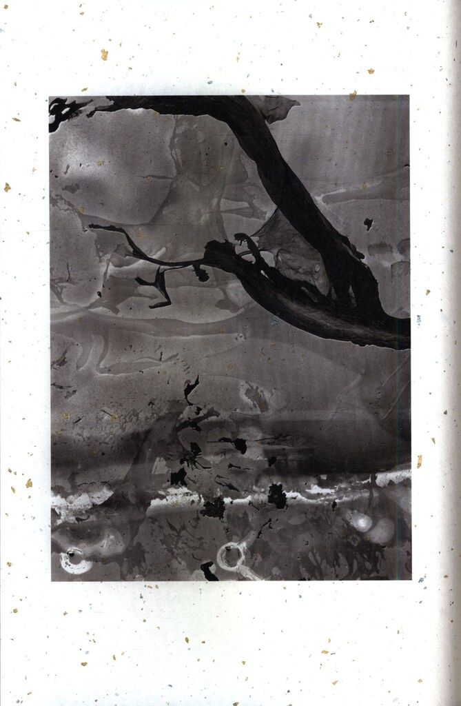 8K/MATTER 横田大輔 Daisuke Yokota 限定500部 町口景 【公式通販】