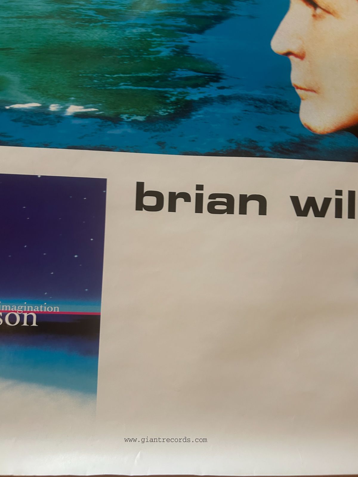 ブライアン・ウィルソン Brian Wilson / Imagination 1998年