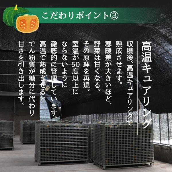 お取り寄せグルメ