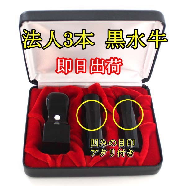法人印鑑 キャンペーン 即日配送 法人印鑑セット 会社設立 コンパクトセット 3本 黒水牛 印鑑 実印 銀行印 丸印 寸胴 18 mm 16.5 角印 21 ハイレザー 3本収納 印鑑ケース 会社印鑑 旧字 カタカナ ローマ字 作成 プレゼント ギフト