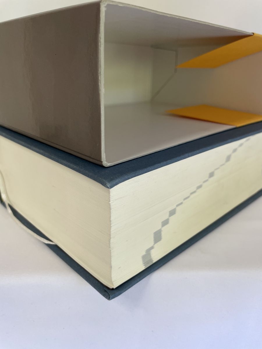 スペイン語大辞典 山田 善郎 監修 白水社